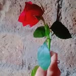 Birpal Kaur - @birpal541 - Instagram