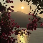 birsen duman - @birsenduman869 - Instagram