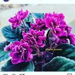 birsen duman - @birsennnnnnnnn_ - Instagram
