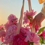 Bita Ghaffari - @bitaghaffari4 - Instagram
