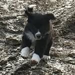 Bj Clark - @bj.clark79 - Instagram