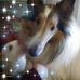 Bj Grubb - Facebook