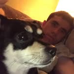 BJ McDaniel - @bjmcdaniel2 - Instagram