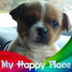 BJ Powers-Jackson - @henharhavmomma - Instagram