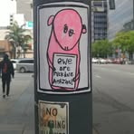 Bj Taylor - Facebook