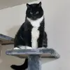 Bjørns Buttons - @bjornsbuttons - TikTok