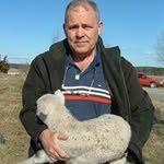 Björn Jonsson - @jonsson.bjorn - Instagram
