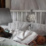 Björn Petersen - @bjorn.petersen.31 - Instagram