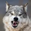 user7724872232776 - @logannbk - TikTok