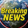 Black Bear News - @black.bear.news0 - TikTok