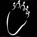 Black Bear Travel - @blackbeartravel - Instagram