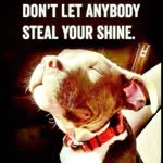 Blaine Johnson - @blaine.johnson.9699 - Instagram