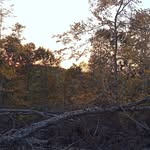Blaine Byrd - @byrd_blaine - Instagram