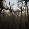 Blaine Cox - @huckleberry_ky - TikTok
