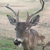 blaine_cox - @bcstro17 - TikTok