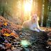 Blaine McKenzie - Facebook