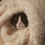 Blaine Murphy - @_blenn_ - Instagram