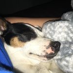 Blaine Stephens - @stephens.blaine - Instagram