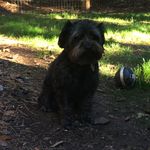Blaine - @_blaine.sullivan_ - Instagram