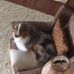 Blaine Sullivan - Facebook