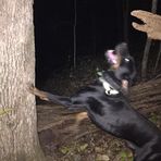 Blaine Vance - Facebook