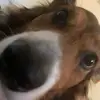 blaine webb - @blaine.webb21 - TikTok