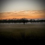 Blaine West - @blainewest - Instagram
