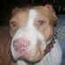 Blaine Willard - Facebook