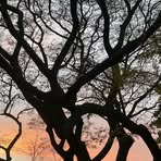 Blair Armstrong - Facebook