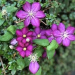 Dilys Blair-Bain - @dilys46 - Instagram