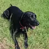 blairbecker - @blairbecker - TikTok