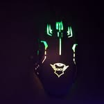 Blair Boyle - @blairboyle123 - Instagram