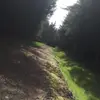 blairboyle - @yermawsgay1 - TikTok