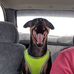Blair Crum - Facebook
