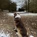 Blair Davidson - Facebook