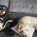 Blair Dunn - Facebook