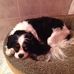 Blair Everett Hughes - Facebook