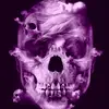 blairfreeman - @blairfreeman - TikTok