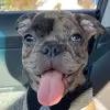 Blair Robbins - @blair.robbins66 - TikTok