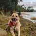Blair Squires - Facebook