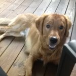 Blake Arnold - @braves_man_10 - Instagram