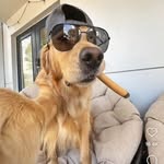 Blake Arnold - @blake_arnold30 - Instagram