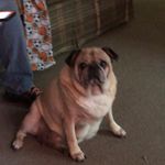 Blake_arnold@ccms - @blake_arnoldccms - Instagram