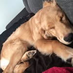 Blake Backus - @backusblake - Instagram