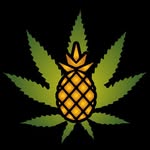 Blake Bartlett - @chronicpineapplestore - Instagram