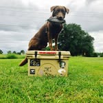 Blake Bartlett - @hatchiebottomboy - Instagram