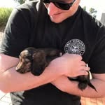 Blake Bassett - @blake.bassett.1 - Instagram