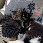 Bean and Blake - @beanandblake - Instagram