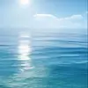 What should I play on roblox - @blake_bean09 - TikTok