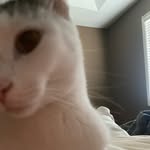 Blake - @blake_becksvoort - Instagram